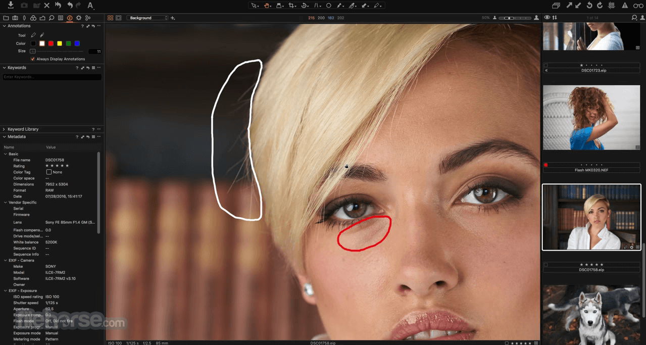 capture one pro for mac torrent
